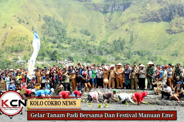Tingkatkan Produksi Pertanian, Pemkab Samosir Gelar Tanam Padi Bersama Dan Festival Manuan Eme, Bupati Samosir Serahkan Bantuan Pertanian.