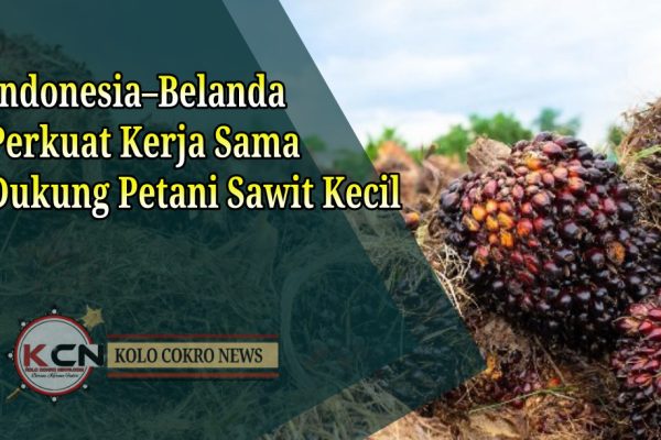 Indonesia–Belanda Perkuat Kerja Sama Dukung Petani Sawit Kecil dan Ekonomi Berkelanjutan