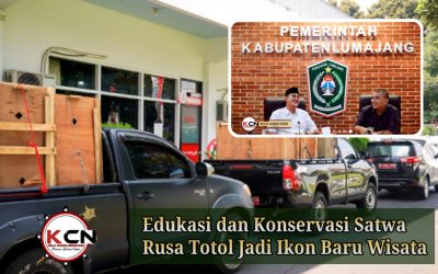 Edukasi dan Konservasi Satwa” Rusa Totol Jadi Ikon Baru Wisata Ramah Lingkungan di Lumajang