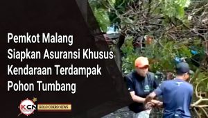 Pemkot Malang Siapkan Asuransi Khusus Kendaraan Terdampak Pohon Tumbang, Santunan Maksimal Rp15 Juta