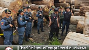 Dirut PT BRN Resmi Jadi Tersangka Pembalakan Liar Mentawai, Negara Perketat Pengawasan Hutan dari Hulu ke Hilir