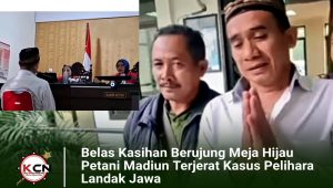 Belas Kasihan Berujung Meja Hijau, Petani Madiun Terjerat Kasus Pelihara Landak Jawa