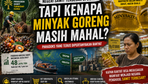 Indonesia Raja Sawit Dunia, Tapi Kenapa Minyak Goreng Masih Mahal? Paradoks yang Terus Dipertanyakan Rakyat