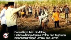 Panen Raya Tebu di Malang, Prabowo Serap Aspirasi Petani dan Tegaskan Ketahanan Pangan Dimulai dari Sawah